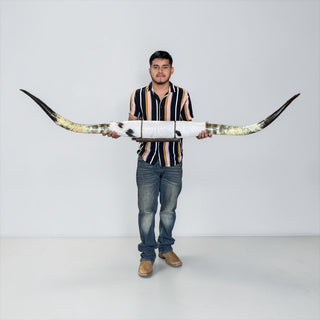 5-6ft rustic Longhorn mount (w03)