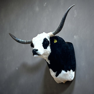 Cow shoulder mount