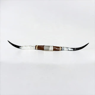 5.5ft Longhorn mount (d14)