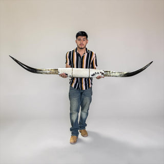 5-6ft rustic Longhorn mount (w02)