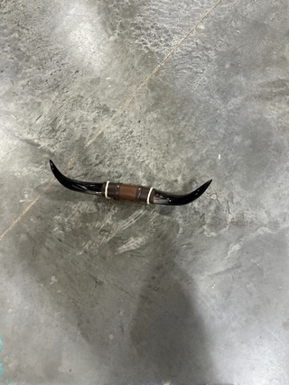 1.9ft Longhorn mount (f29)