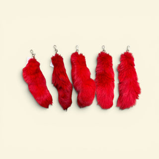 Red fox tail