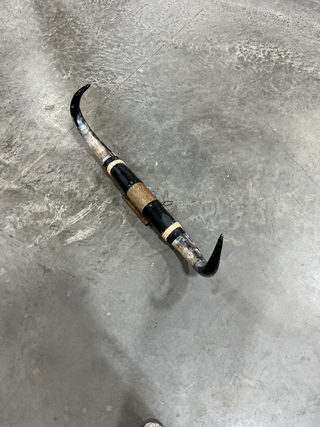 2.5ft Longhorn mount (f18)