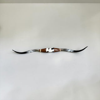 5-6ft Longhorn mount (f3)