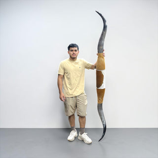 6.6ft Longhorn mount (d05)