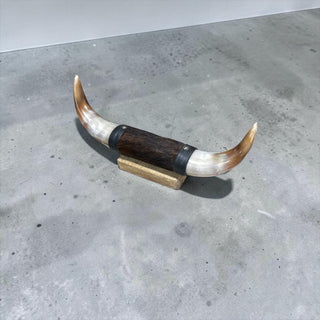 1ft Longhorn mount (d39)