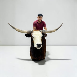 Cow shoulder mount