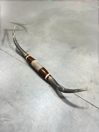 5.5ft Longhorn mount (g4)