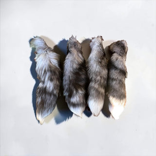 Kitt Fox tail
