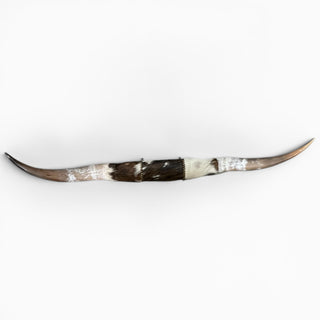 4.5’ Longhorn mount (k18)