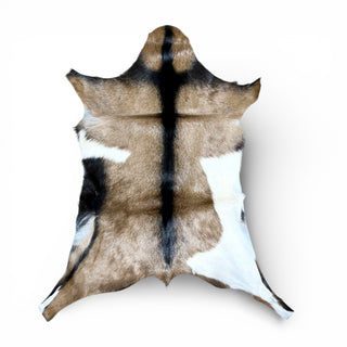 2-3’ goat hide (r22)