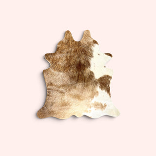 1-1.5ft calf hide (y18)