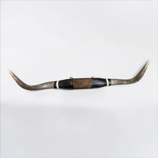 5-6ft Longhorn mount (f5)