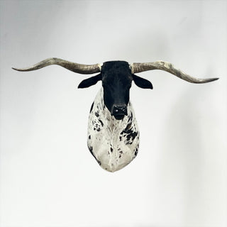 Longhorn shoulder mount