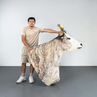 Longhorn shoulder mount