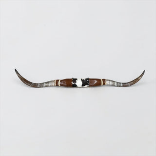 5-6ft Longhorn mount (f49)