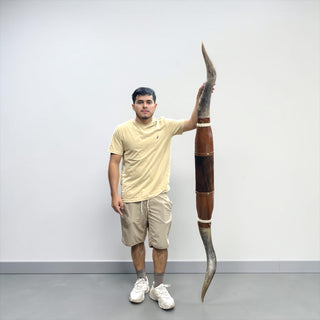 6ft Longhorn mount (d06)