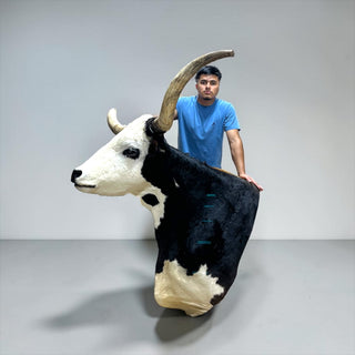 Longhorn shoulder mount