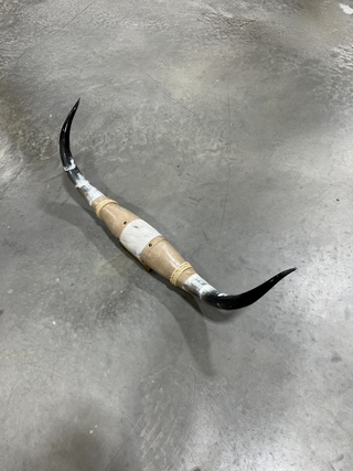 3.1ft Longhorn mount (f14)
