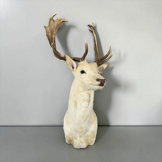 Xl 19-point fallow deer shoulder mount