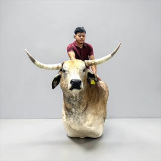 Cow shoulder mount