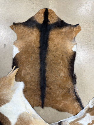 Premium Goat Hides - assorted colors