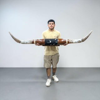 5.9ft Longhorn mount (d07)