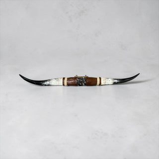 3.9ft Longhorn mount (c01)