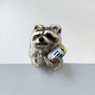 Raccoon taxidermy mount
