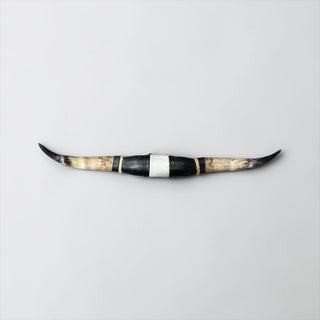 3.8 ft Longhorn mount (w11)