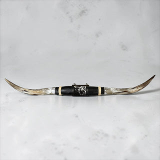 3.6ft Longhorn mount (c13)
