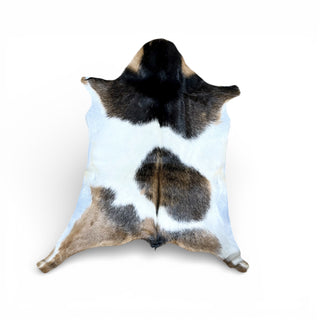 2-3’ goat hide (r38)