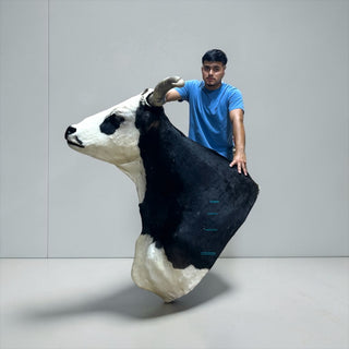 Longhorn shoulder mount