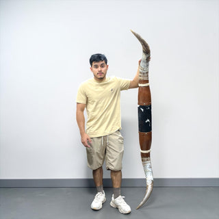 5.9ft Longhorn mount (d07)