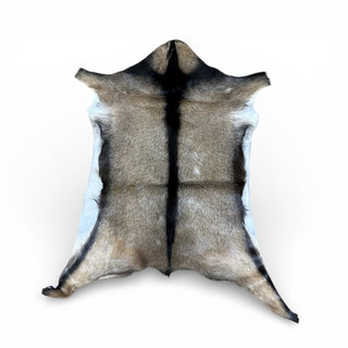 2-3’ goat hides (r02)