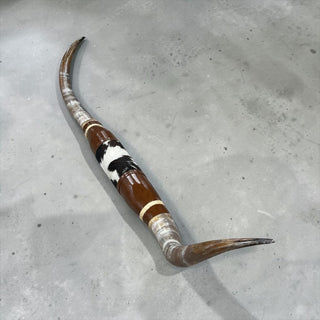 5-6ft Longhorn mount (f49)