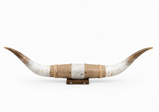 3.85ft Longhorn mount (As05)