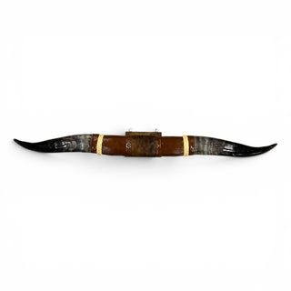3’ Longhorn mount (p31)