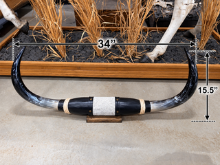 34” Longhorn mount (KK012)