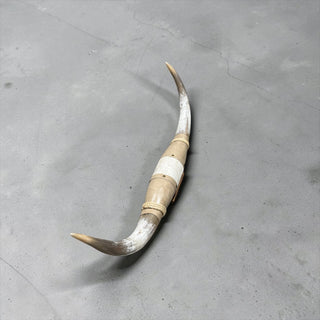 3-4ft Longhorn mount (f37)