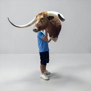 6ft tip to tip longhorn mount
