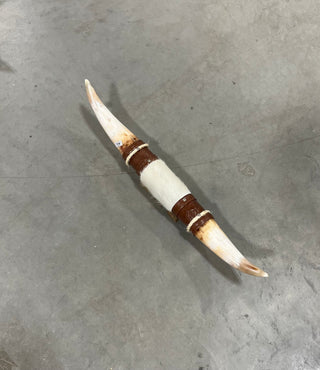 1.11ft Longhorn mount (d18)