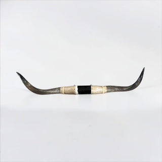 4.8ft Longhorn mount (d10)