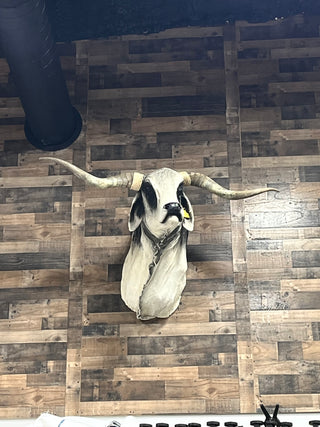 Cow shoulder mount