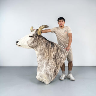 Longhorn shoulder mount
