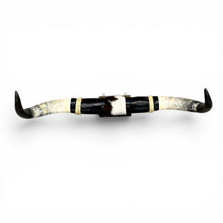 2.10’ Longhorn mount (p28)