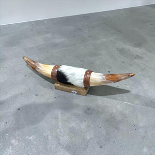 1ft Longhorn mount (d38)