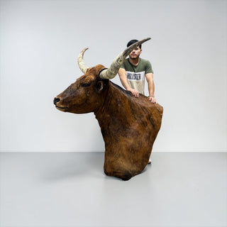Longhorn shoulder mount