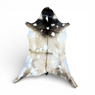 2-3’ goat hide (r13)