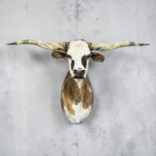 Longhorn shoulder mount